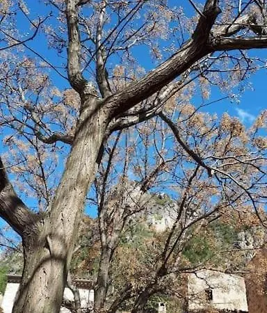 La Maison De Jules 別荘